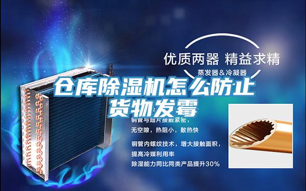 倉庫PICACG哔咔官网入口怎麽防止貨物發黴