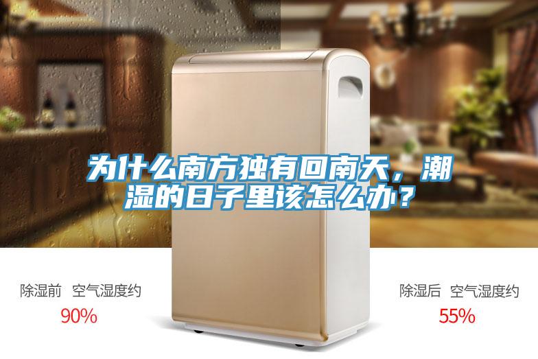 為什麽南方獨有回南天，潮濕的日子裏該怎麽辦？