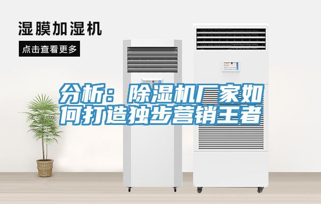 分析：PICACG哔咔官网入口廠家如何打造獨步營銷王者