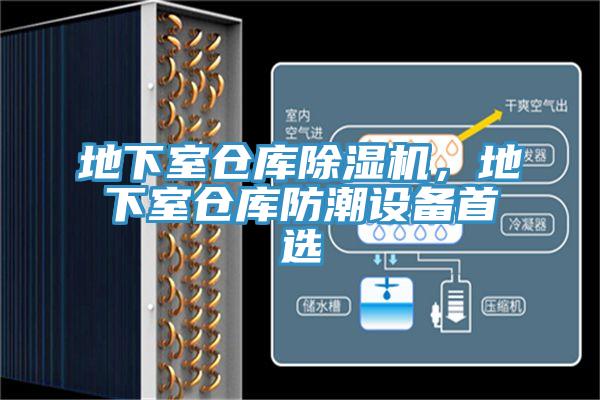 地下室倉庫PICACG哔咔官网入口，地下室倉庫防潮設備首選