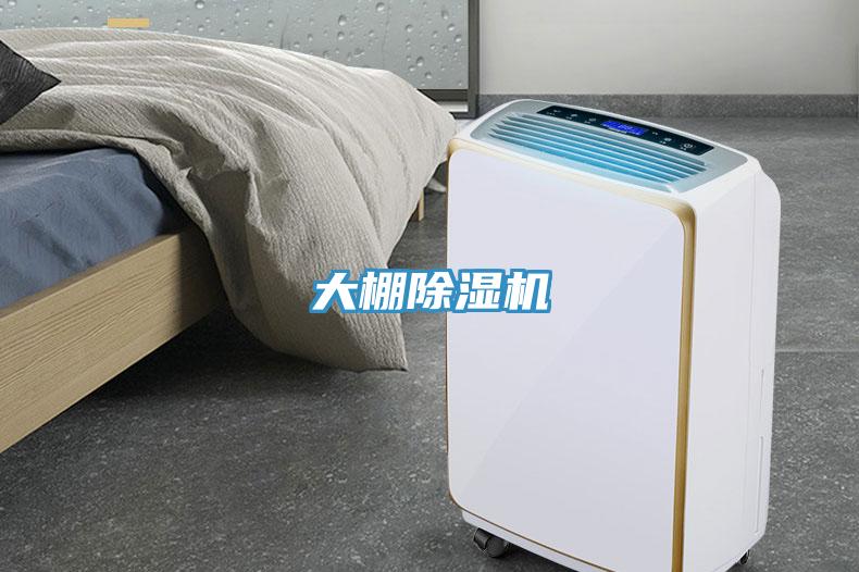 大棚PICACG哔咔官网入口