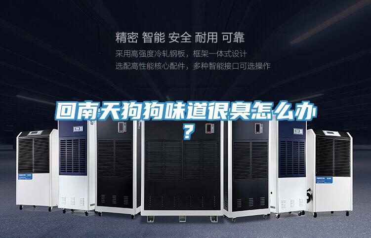 回南天狗狗味道很臭怎麽辦？