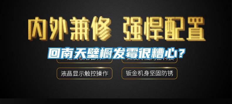 回南天壁櫥發黴很糟心？