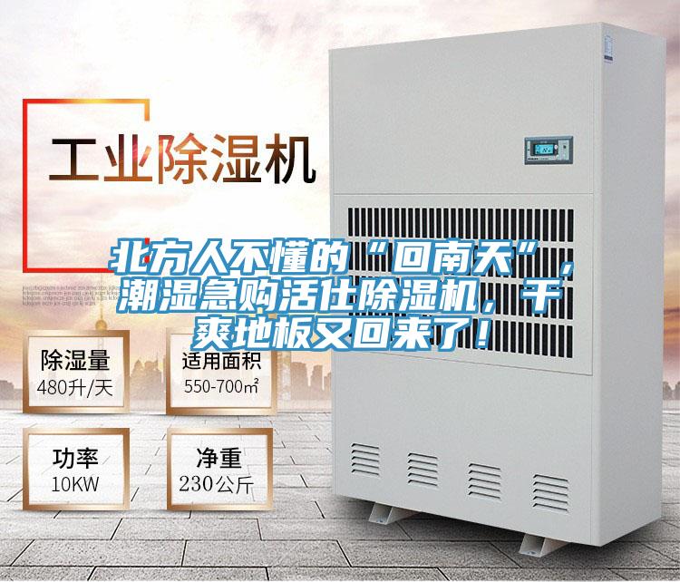 北方人不懂的“回南天”，潮濕急購活仕PICACG哔咔官网入口，幹爽地板又回來了！