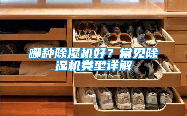 哪種PICACG哔咔官网入口好？常見PICACG哔咔官网入口類型詳解