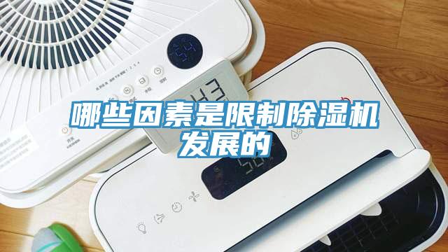哪些因素是限製PICACG哔咔官网入口發展的