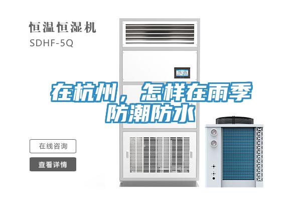 在杭州，怎樣在雨季防潮防水