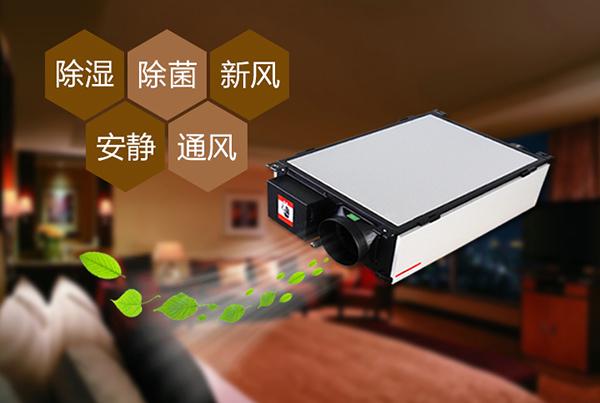 雙十一剛過，雙十二如約而至，濕冷還受得了嗎？