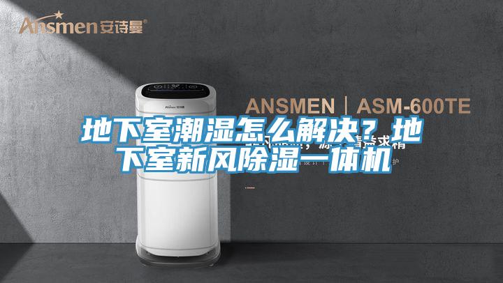 地下室潮濕怎麽解決？地下室新風除濕一體機