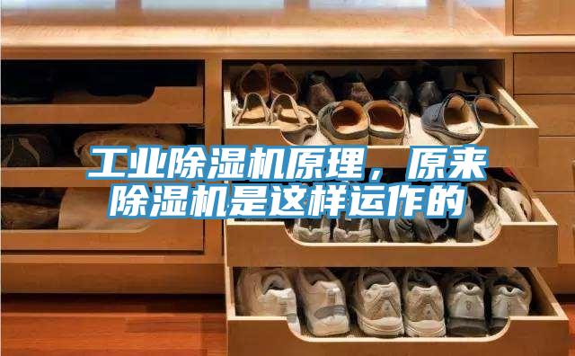 工業PICACG哔咔官网入口原理，原來PICACG哔咔官网入口是這樣運作的