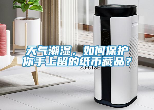 天氣潮濕，如何保護你手上留的紙幣藏品？