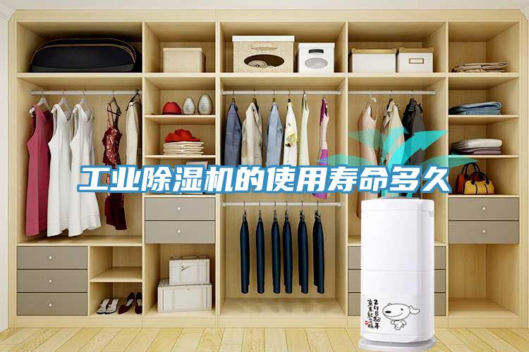 工業PICACG哔咔官网入口的使用壽命多久