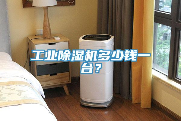 工業PICACG哔咔官网入口多少錢一台？