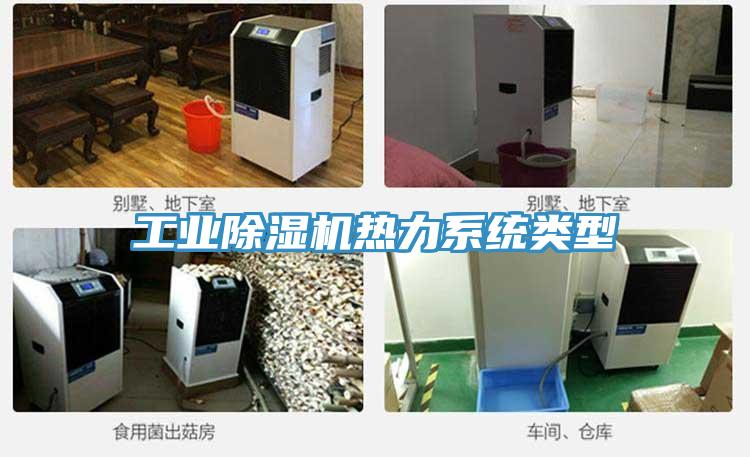 工業PICACG哔咔官网入口熱力係統類型