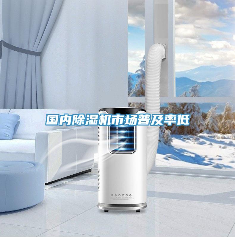 國內PICACG哔咔官网入口市場普及率低