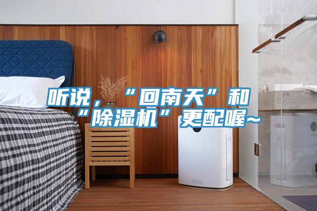 聽說，“回南天”和“PICACG哔咔官网入口”更配喔~