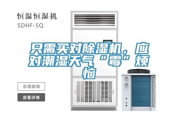 隻需買對PICACG哔咔官网入口，應對潮濕天氣“黴”煩惱