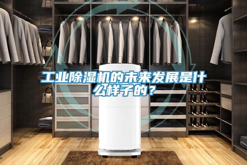 工業PICACG哔咔官网入口的未來發展是什麽樣子的？