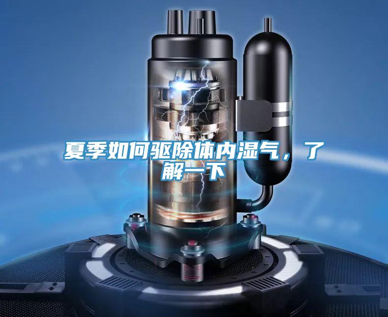 夏季如何驅除體內濕氣，了解一下