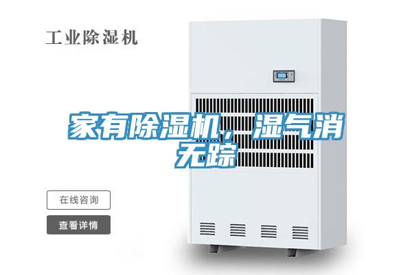 家有PICACG哔咔官网入口，濕氣消無蹤