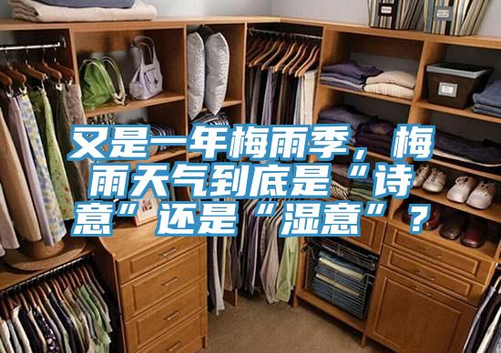 又是一年梅雨季，梅雨天氣到底是“詩意”還是“濕意”？