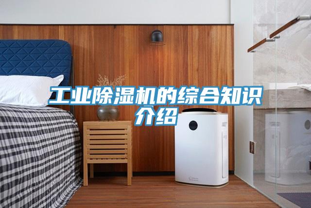 工業PICACG哔咔官网入口的綜合知識介紹