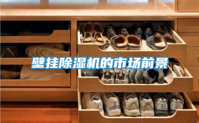 壁掛PICACG哔咔官网入口的市場前景