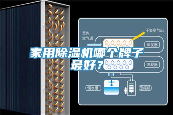 家用PICACG哔咔官网入口哪個牌子最好？