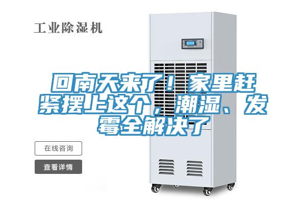回南天來了！家裏趕緊擺上這個，潮濕、發黴全解決了