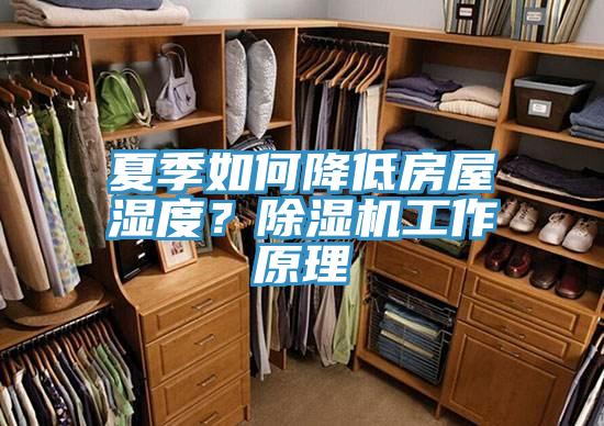 夏季如何降低房屋濕度？PICACG哔咔官网入口工作原理