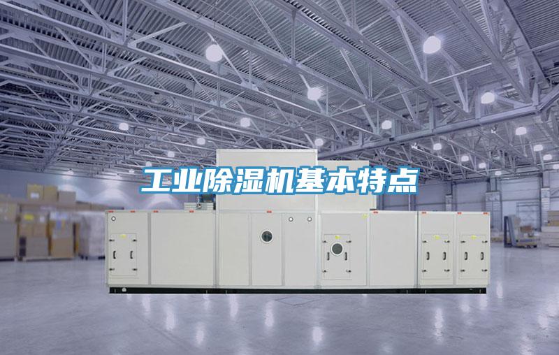 工業PICACG哔咔官网入口基本特點