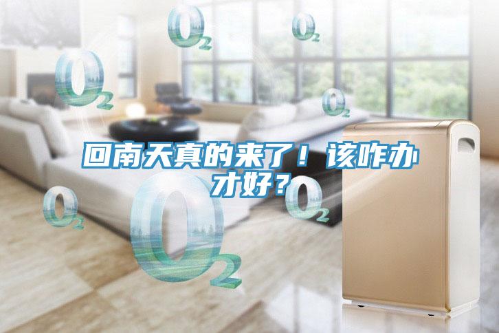 回南天真的來了！該咋辦才好？