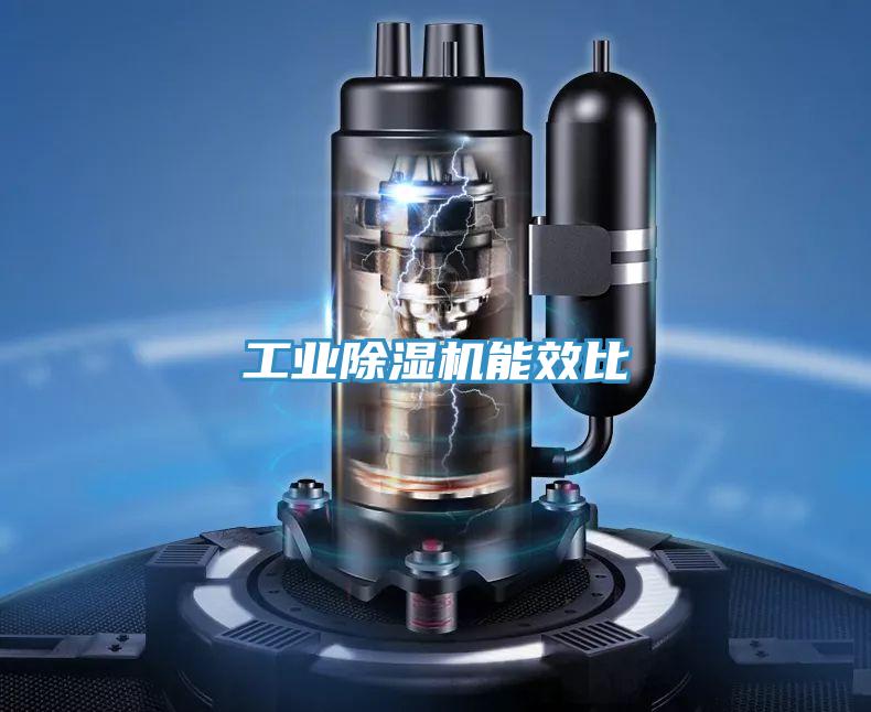 工業PICACG哔咔官网入口能效比