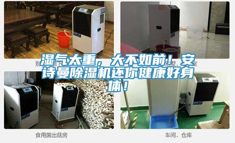 濕氣太重，大不如前！哔咔漫画免费观看入口官网PICACG哔咔官网入口還你健康好身體！