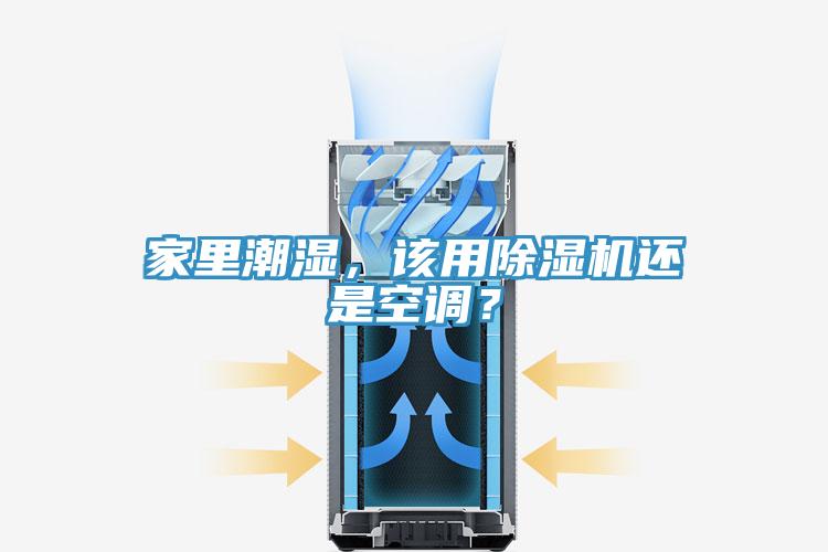 家裏潮濕，該用PICACG哔咔官网入口還是空調？