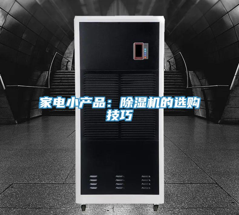 家電小產品：PICACG哔咔官网入口的選購技巧