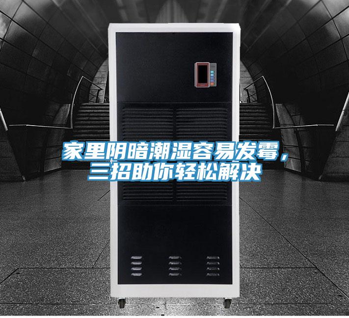 家裏陰暗潮濕容易發黴，三招助你輕鬆解決