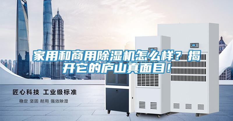 家用和商用PICACG哔咔官网入口怎麽樣？揭開它的廬山真麵目！