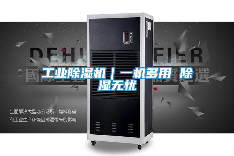 工業PICACG哔咔官网入口｜一機多用 除濕無憂