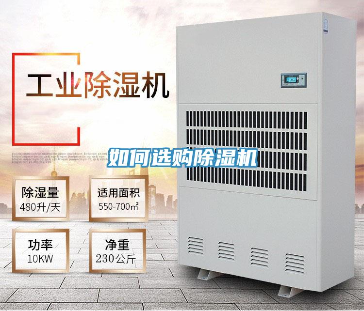 如何選購PICACG哔咔官网入口