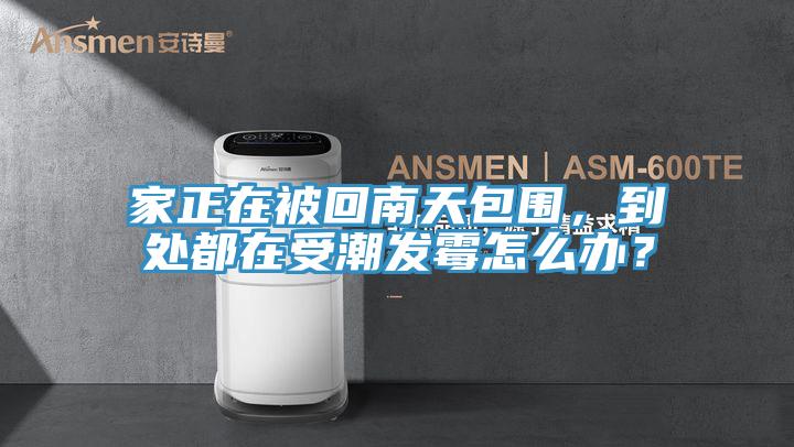 家正在被回南天包圍，到處都在受潮發黴怎麽辦？