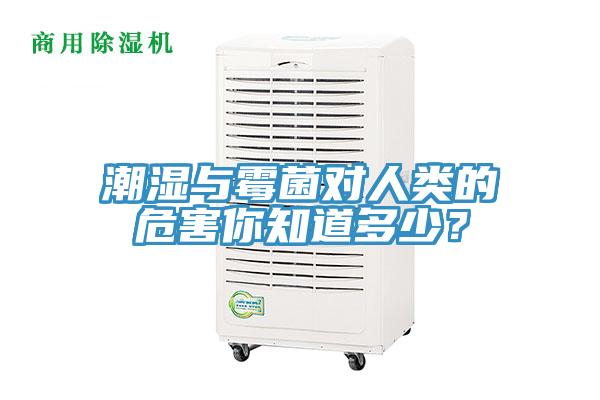 潮濕與黴菌對人類的危害你知道多少？