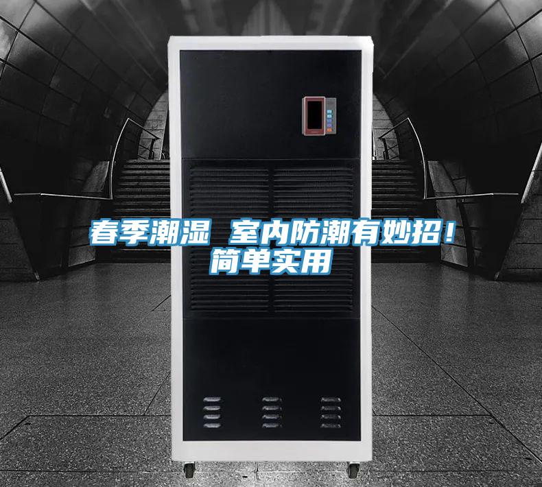 春季潮濕 室內防潮有妙招！簡單實用