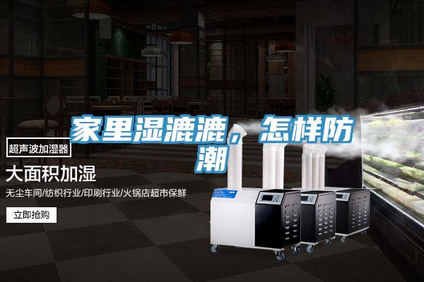 家裏濕漉漉，怎樣防潮