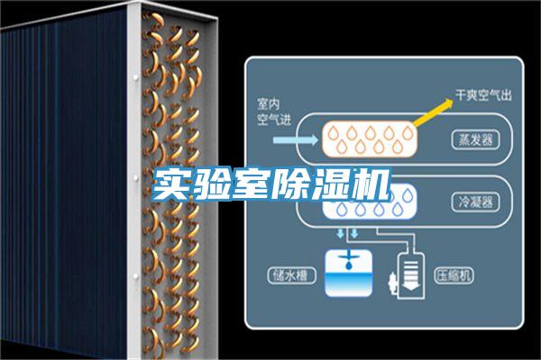 實驗室PICACG哔咔官网入口