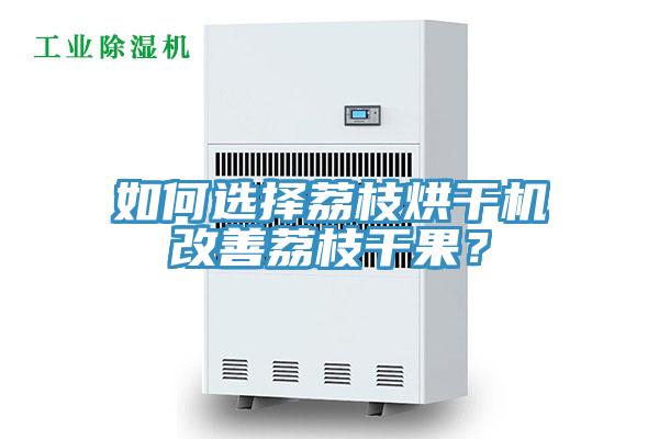 如何選擇荔枝烘幹機改善荔枝幹果？