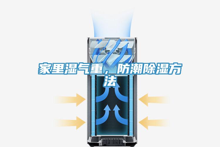 家裏濕氣重，防潮除濕方法