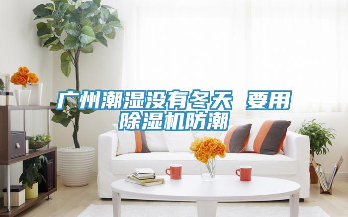 廣州潮濕沒有冬天 要用PICACG哔咔官网入口防潮