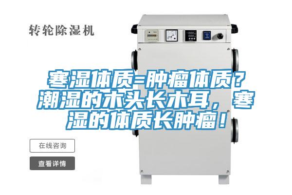 寒濕體質=腫瘤體質？潮濕的木頭長木耳，寒濕的體質長腫瘤！