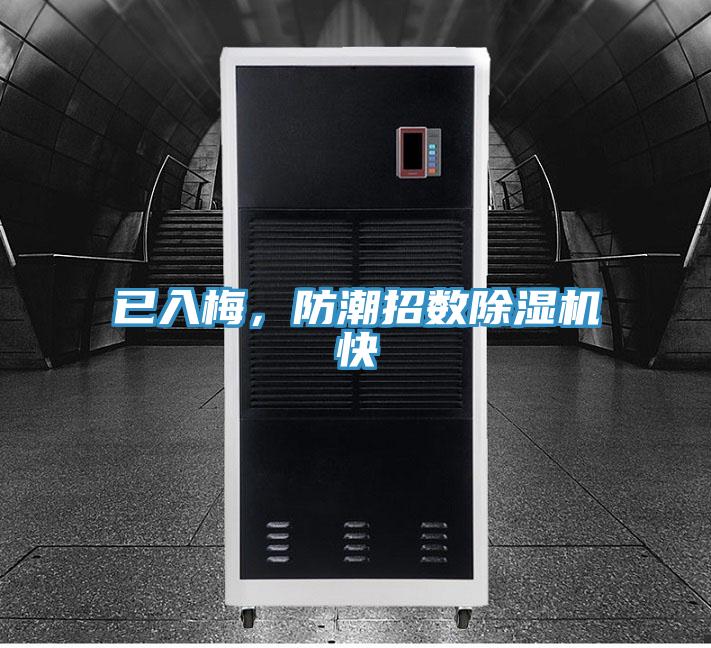 已入梅，防潮招數PICACG哔咔官网入口快